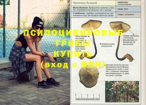 спиды Алексин