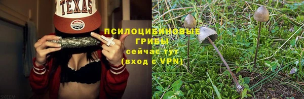 спиды Алексин