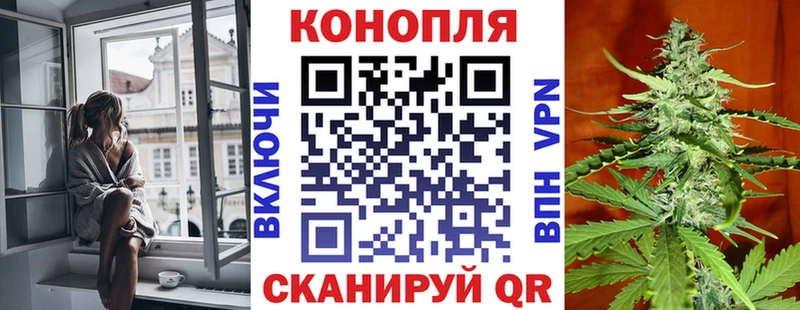 Каннабис сатива  Гурьевск 